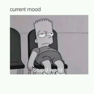 Meet your Posher, Turi